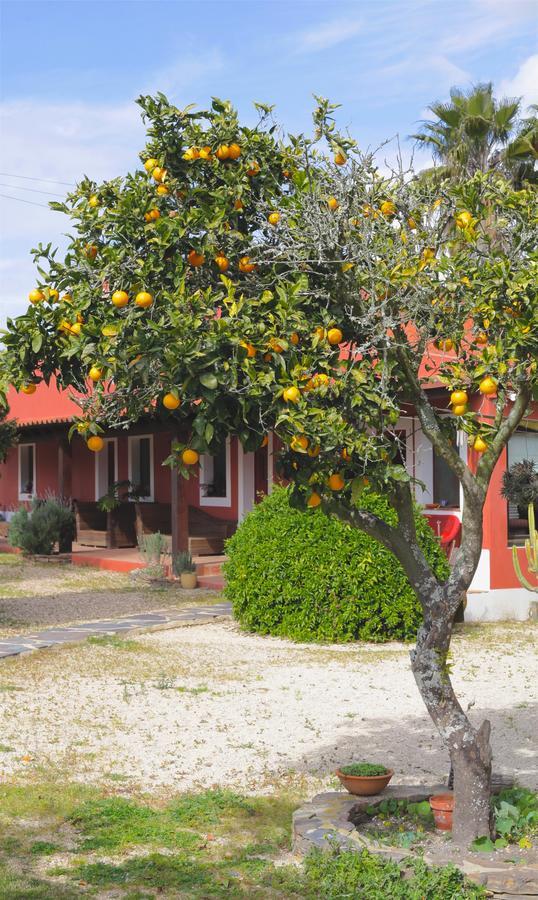 Gasthaus Monte Da Xica - Somente Adultos Zambujeira do Mar Exterior foto
